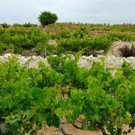 Casa En De Uva Con Piscina Privada, Cubierta Y Climatizada 펜션