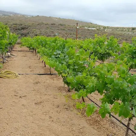 Nyaraló Casa En De Uva Con Piscina Privada, Cubierta Y Climatizada *