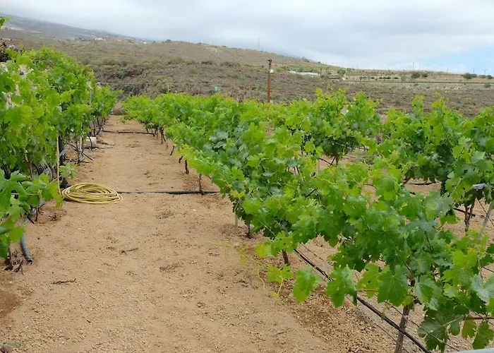 度假居 Casa En De Uva Con Piscina Privada, Cubierta Y Climatizada *