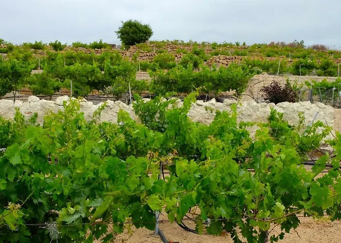 Casa En De Uva Con Piscina Privada, Cubierta Y Climatizada 度假居